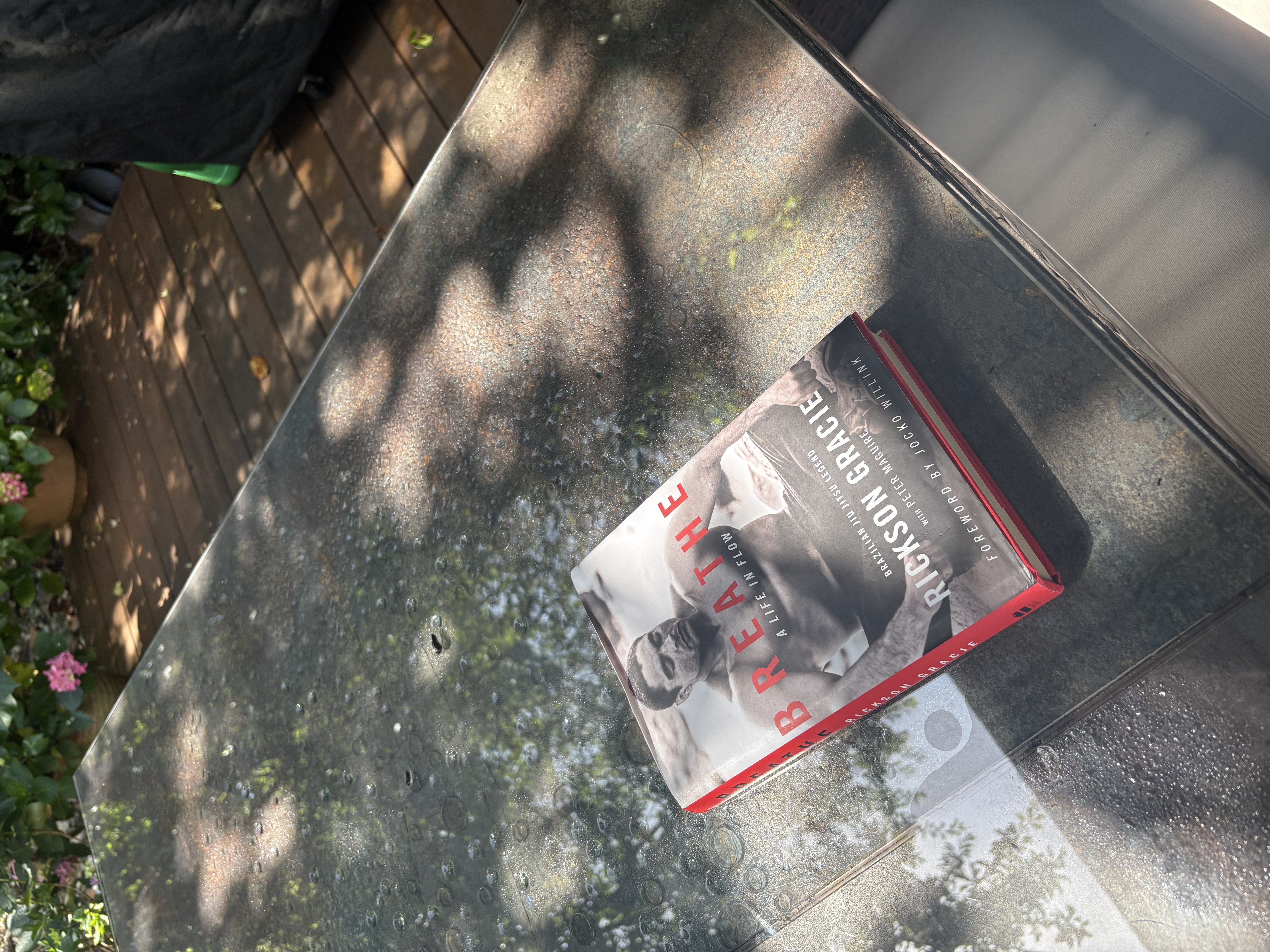 Book representing reading and biographies